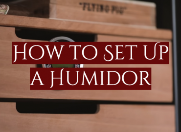 How to Set Up a Humidor